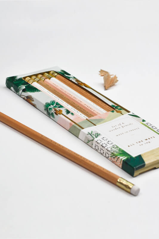 All The Ways To Say Palm Spring Pencil Set