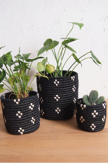 Amsha Munazi Basket Planter