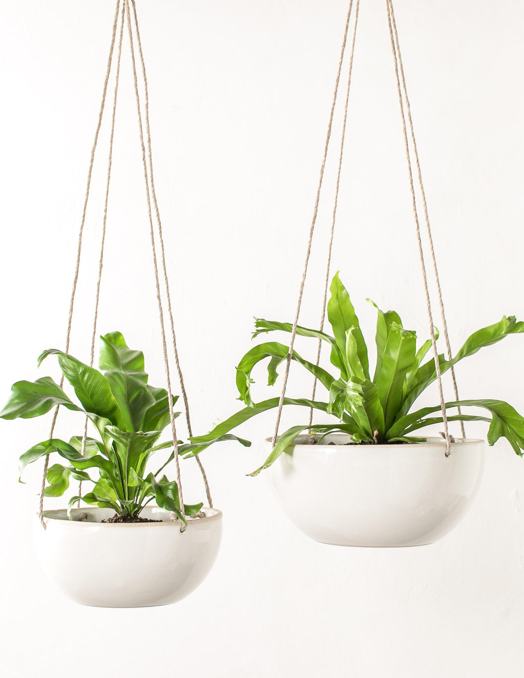 Convivial Minimal Hanging Planter