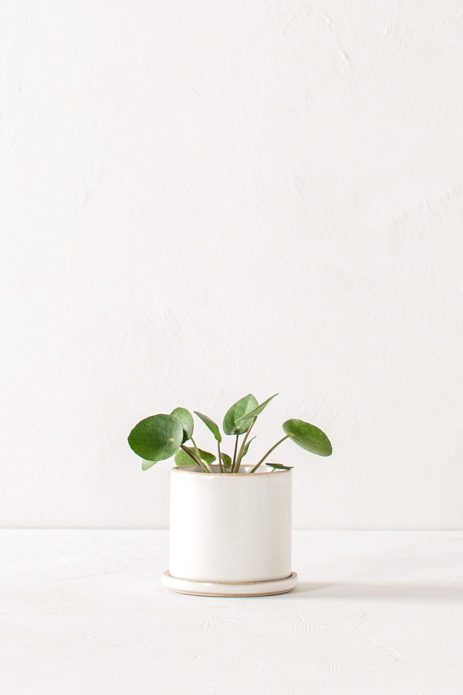 Convivial Minimal Planter