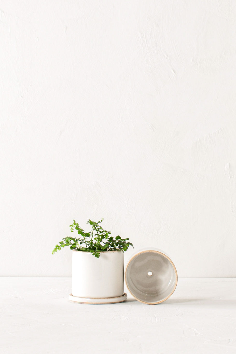 Convivial Minimal Planter