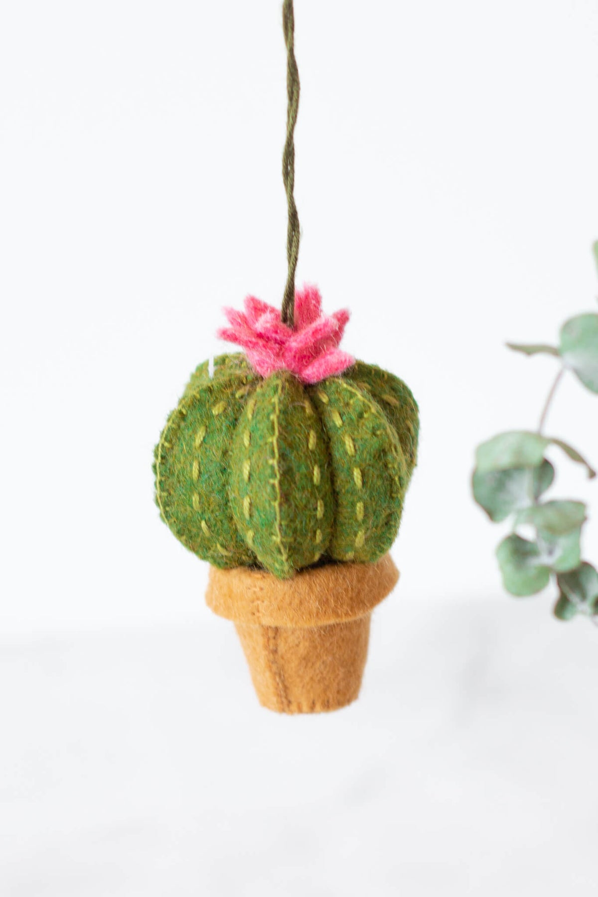 Craftspring Take Me Home Cactus Ornament