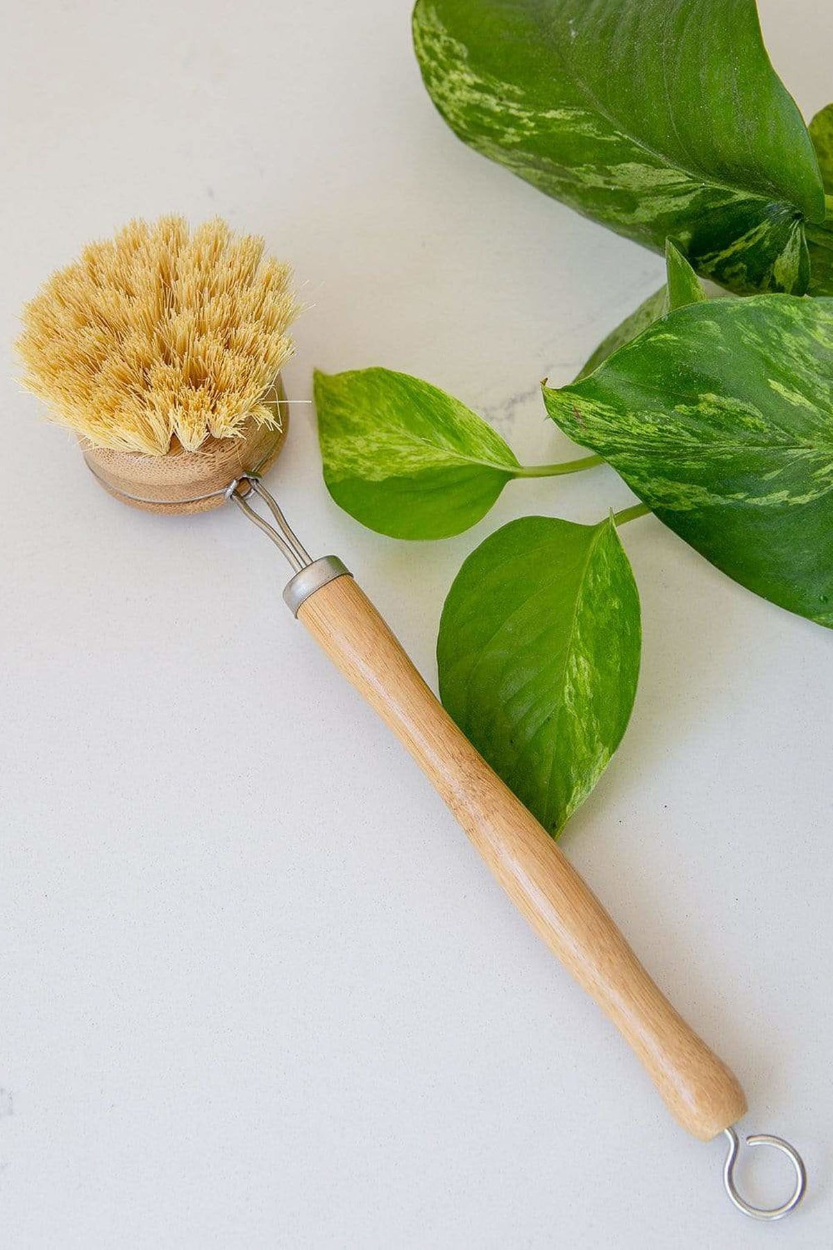 No Tox Life Dish Brush With Replaceable Head