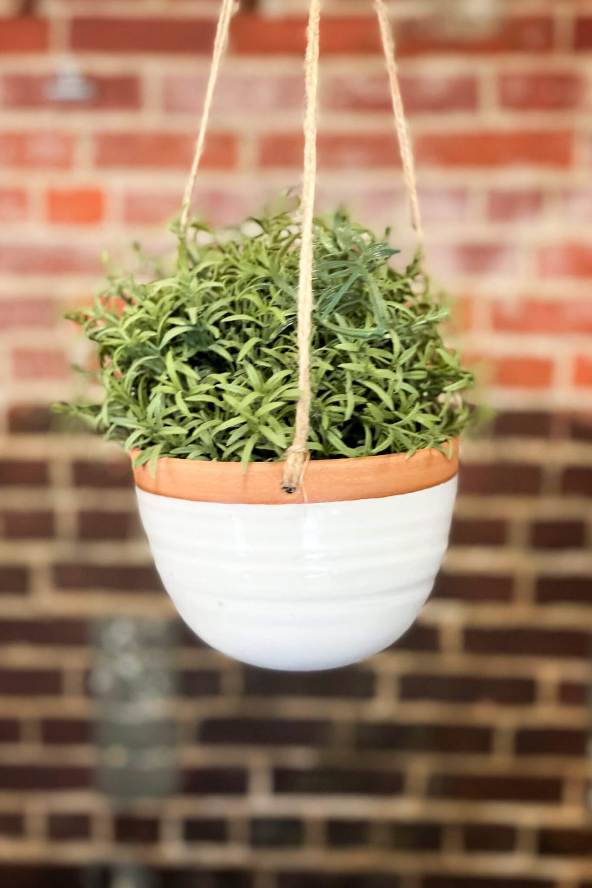 Gravesco Pottery Hanging Planter