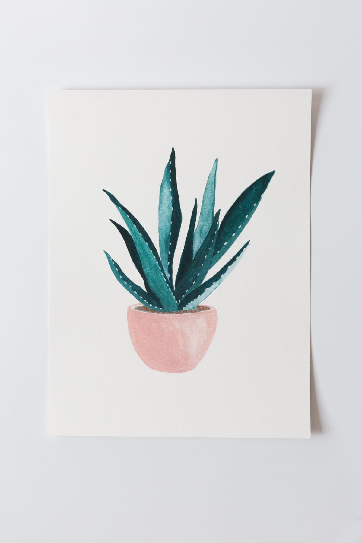La Tinta Aloe Vera Art Print