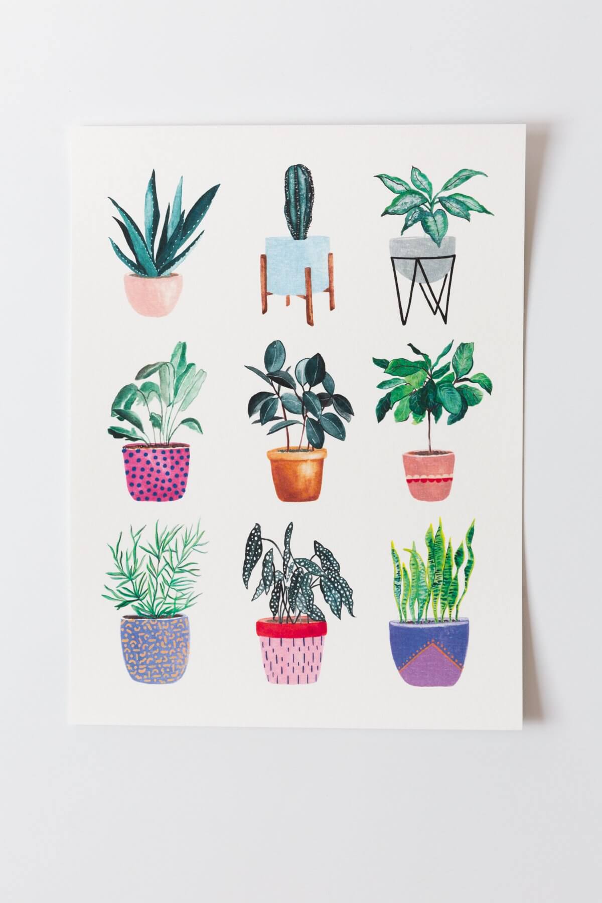 La Tinta Planters Collection Art Print