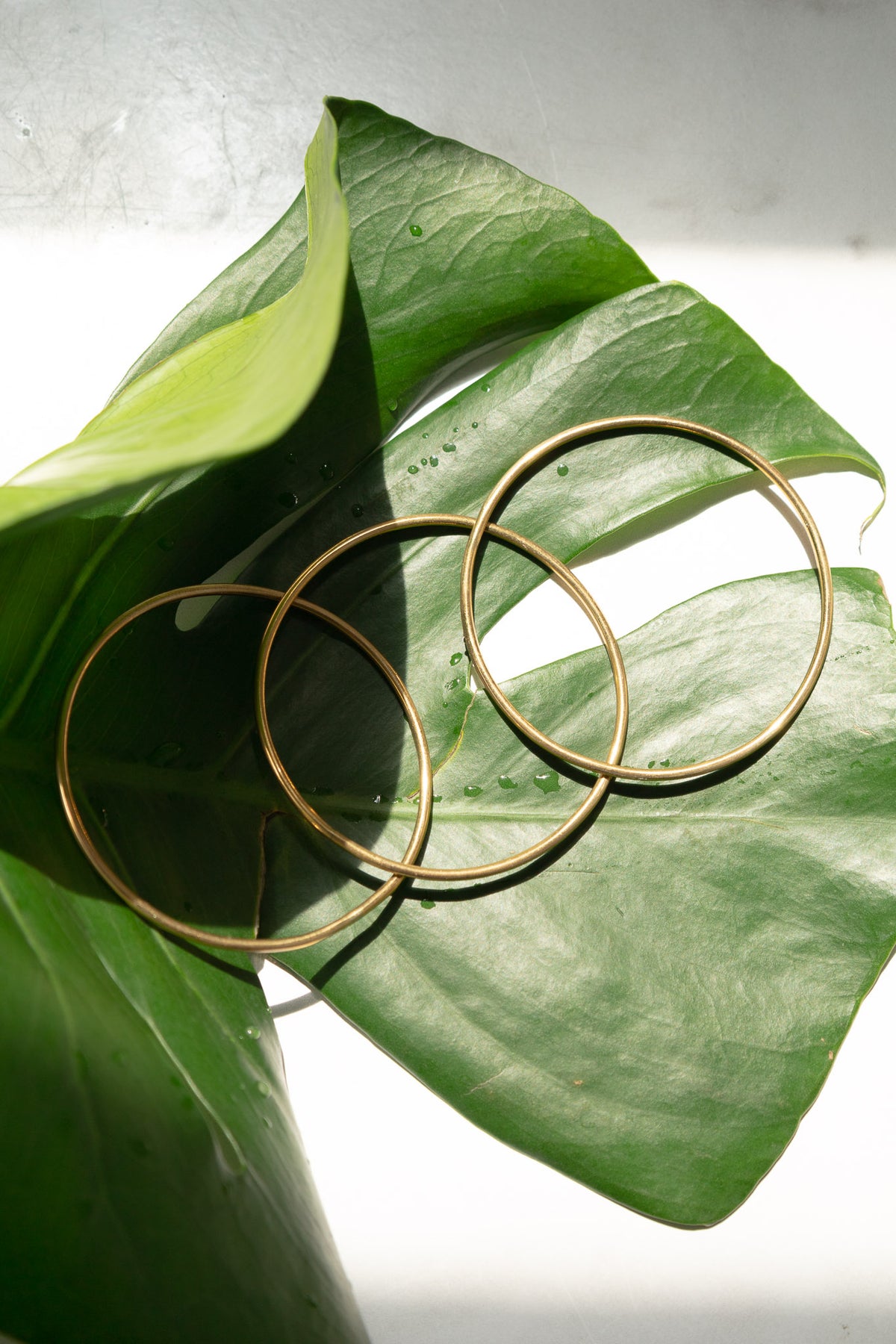 Meyelo Thin Bangle Set