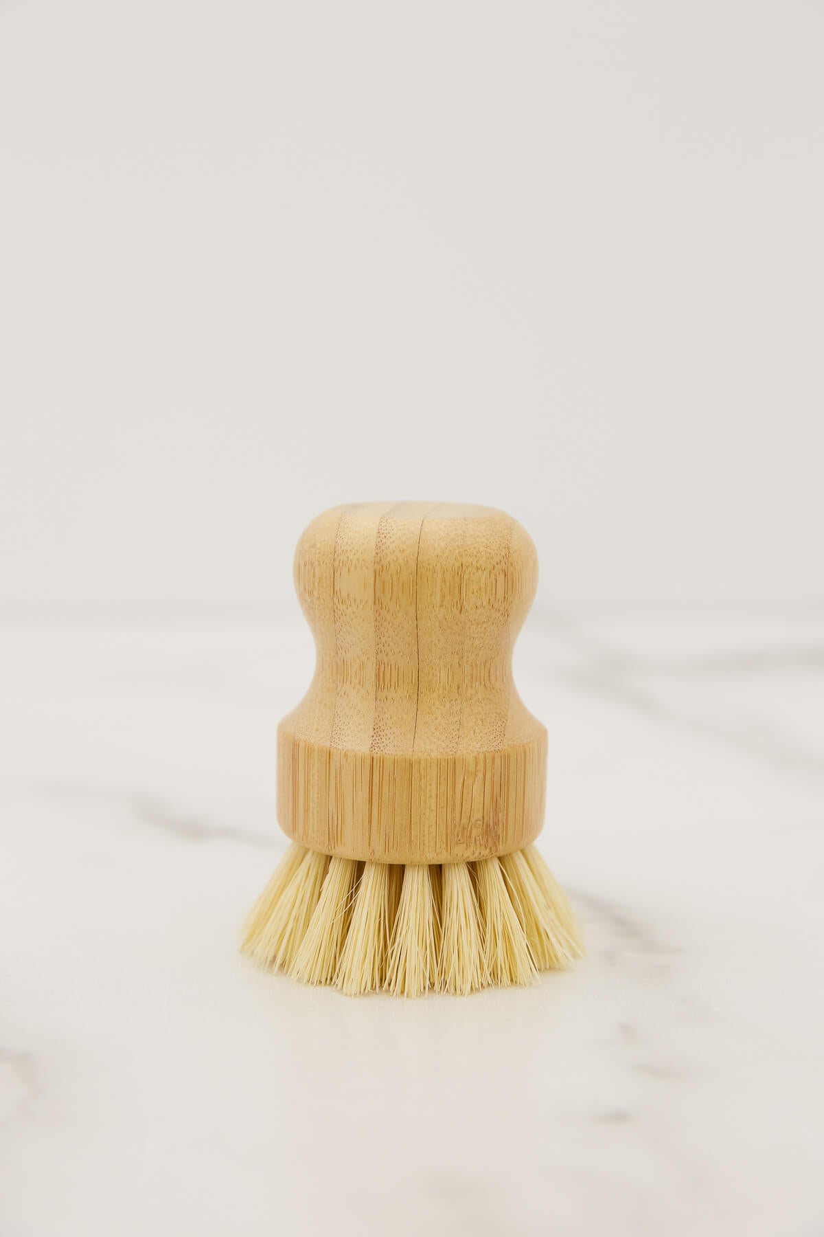 No Tox Life Casa Agave Pot Scrubber Brush