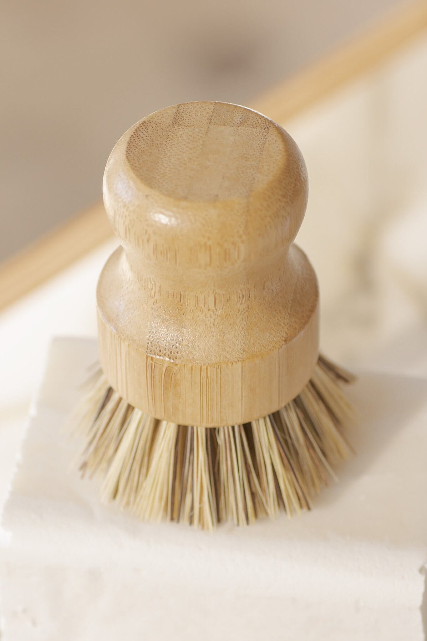 No Tox Life Casa Agave Pot Scrubber Brush