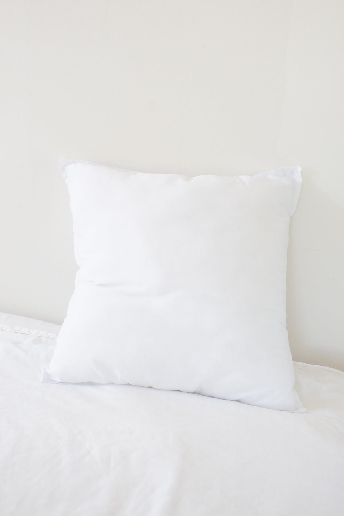 Pillow Insert