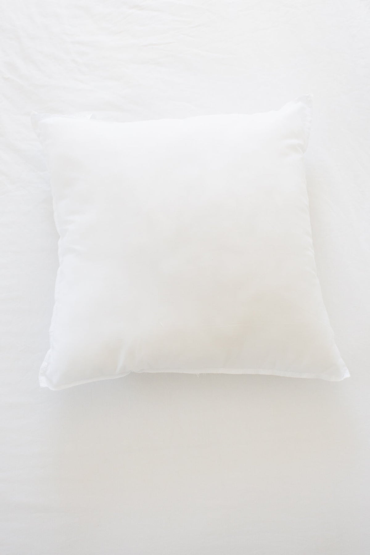 Pillow Insert