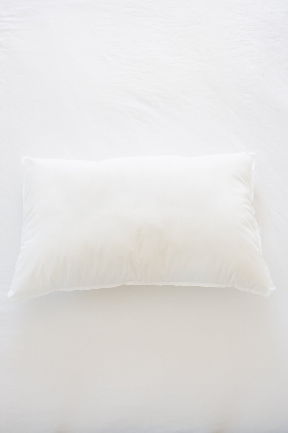 Pillow Insert