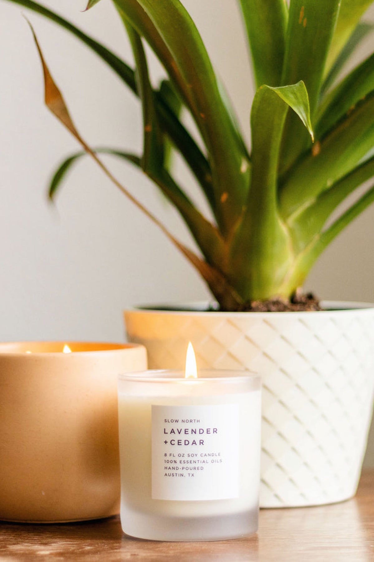 Slow North Lavender + Cedar Frosted Candle